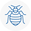 Bed Bug Extermination In Kingston Upon Hull